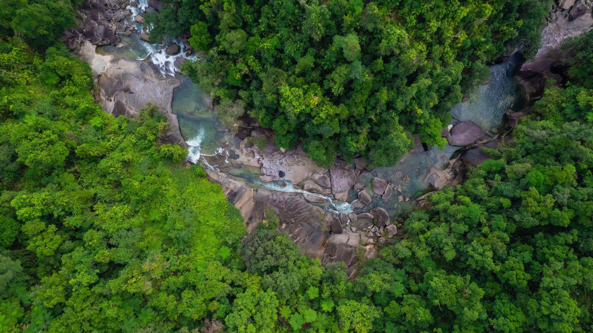DJI_0389